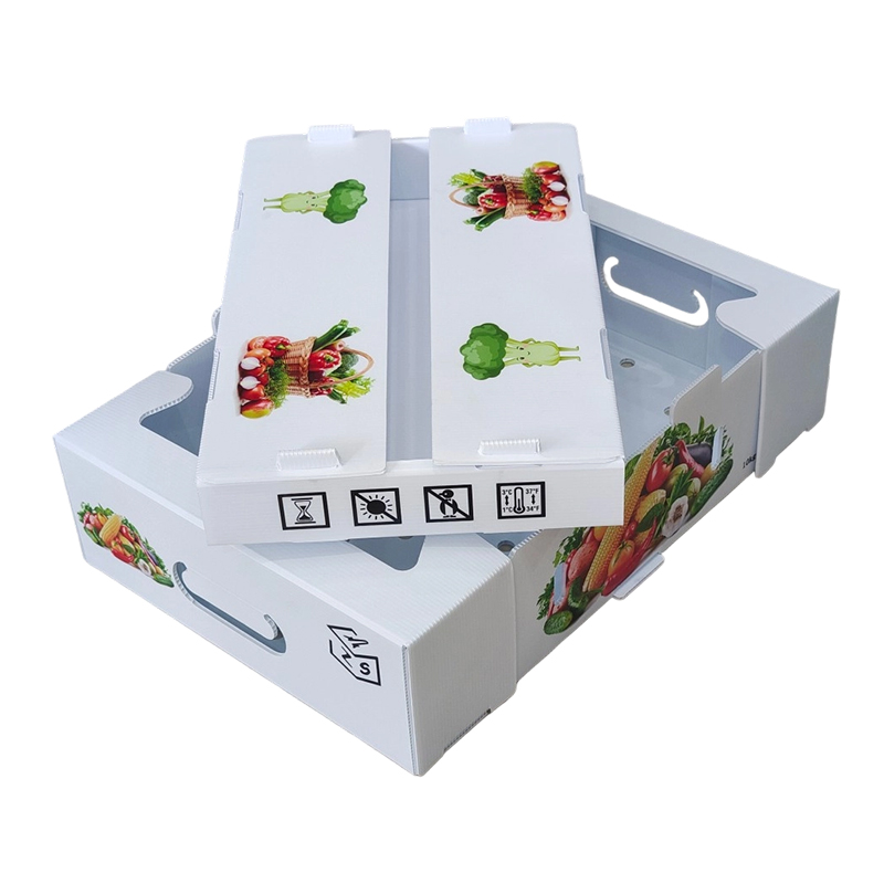 Vochtbestendige, op maat gemaakte PP-golfkarton-plastic fruitomzetdoos