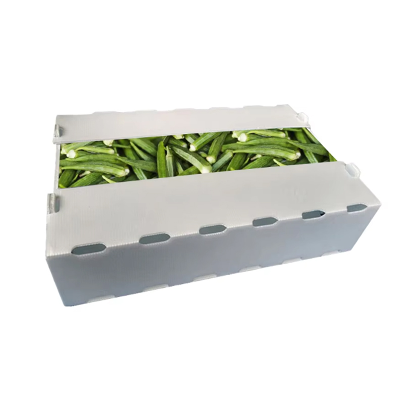 Vochtbestendige, op maat gemaakte PP-golfkarton-plastic fruitomzetdoos