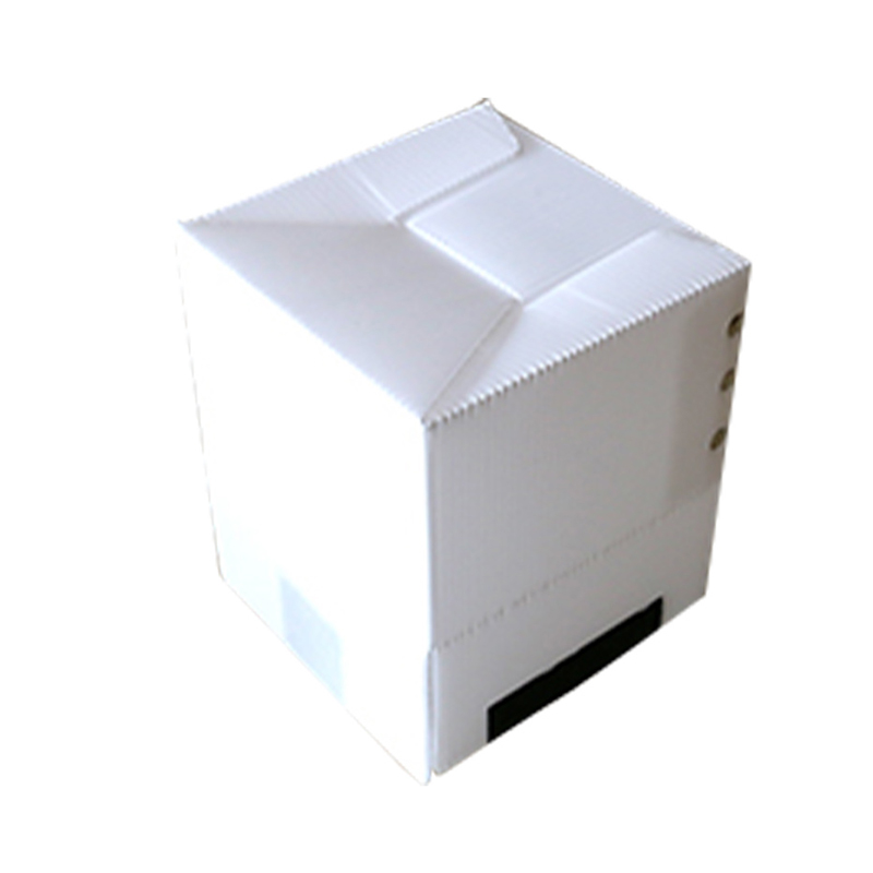 Vierkante recyclebare holle PP golfplatendoos met klittenbandsluiting