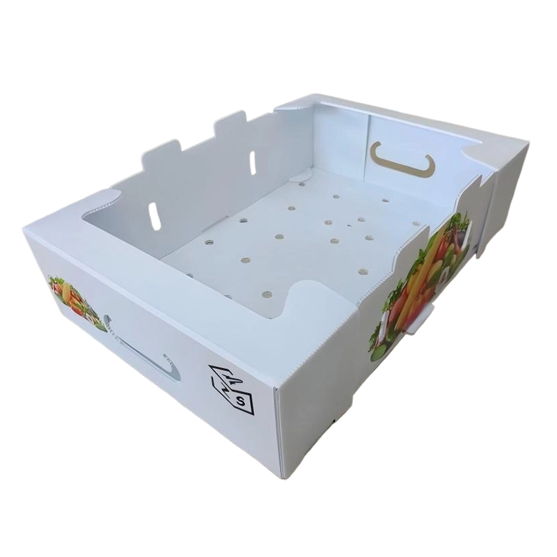 Opvouwbare PP-golfkarton-omzetdoos met ventilatiegaten