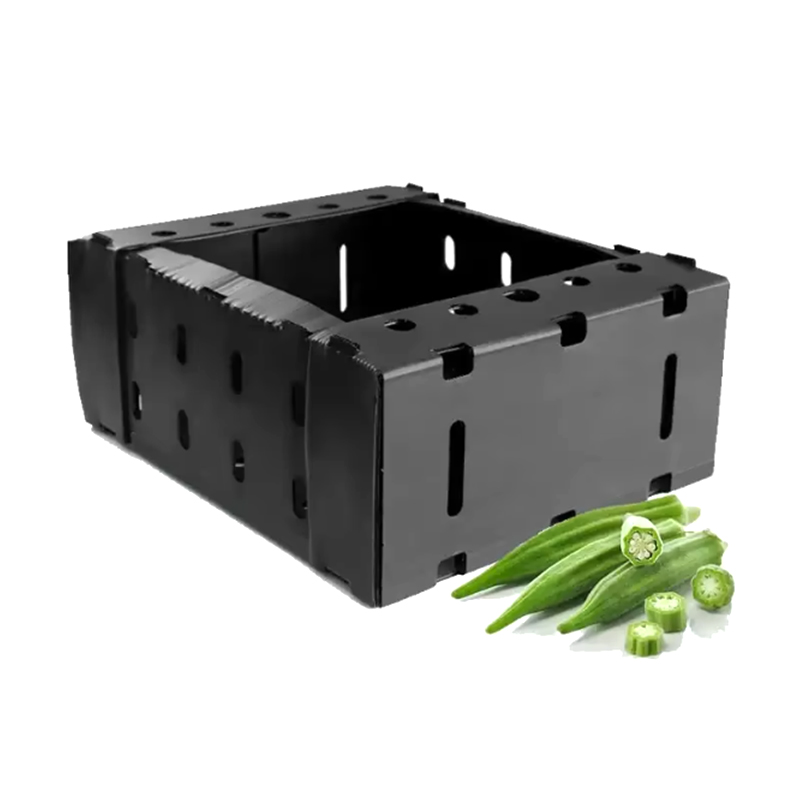 Open stapelbare plastic gegolfde fruitverpakkingsdoos