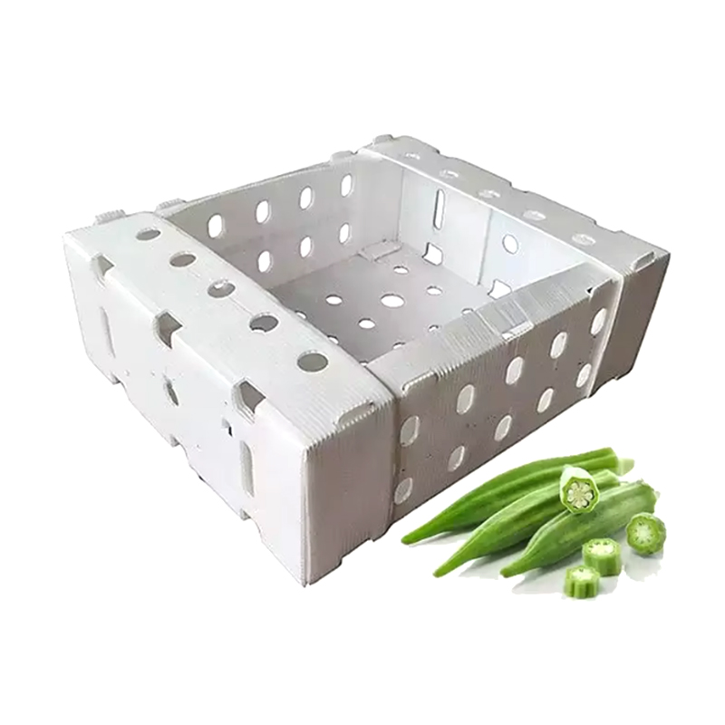 Open stapelbare plastic gegolfde fruitverpakkingsdoos