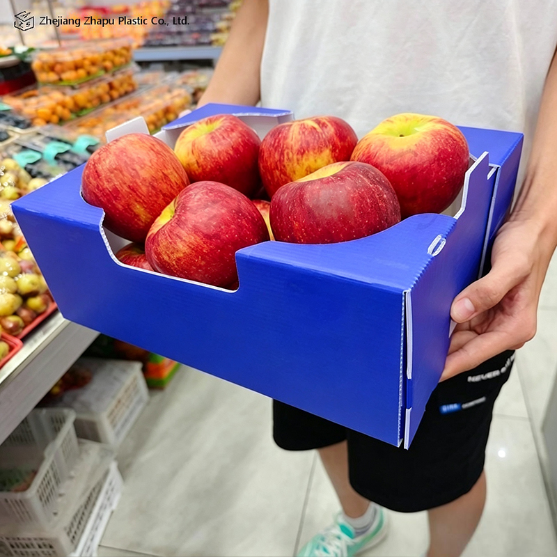 Opvouwbare bedrukte PP-golfkartonnen doos voor groente en fruit