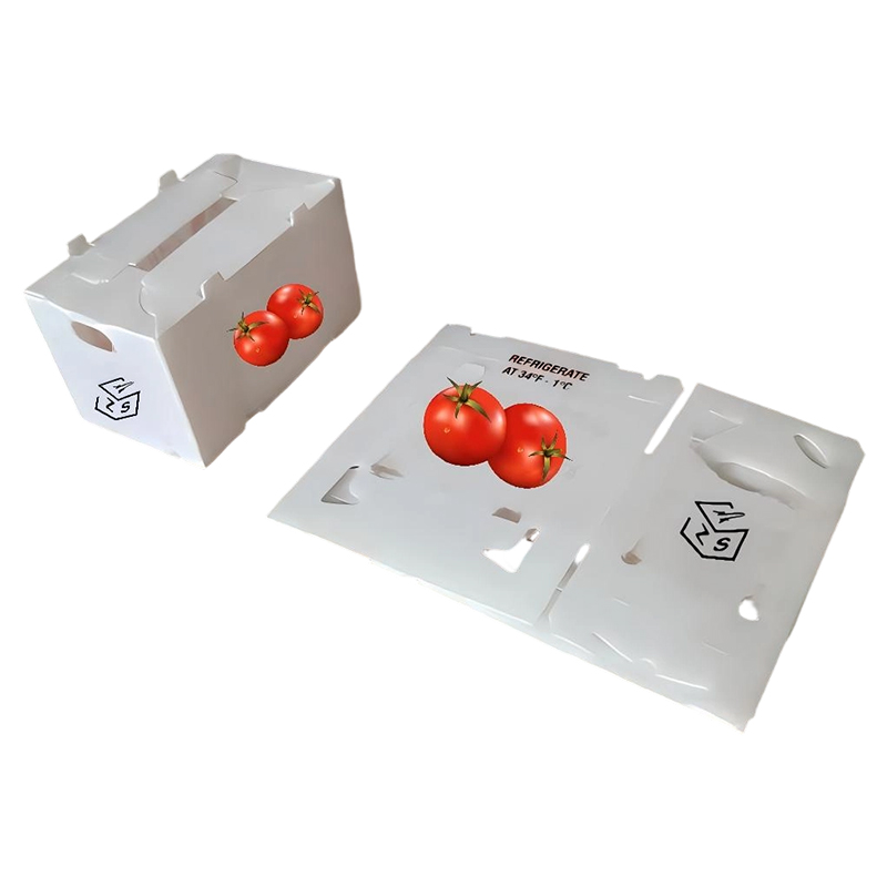 Geventileerde, op maat gemaakte PP-golfkarton-plastic fruit- en groentedoos